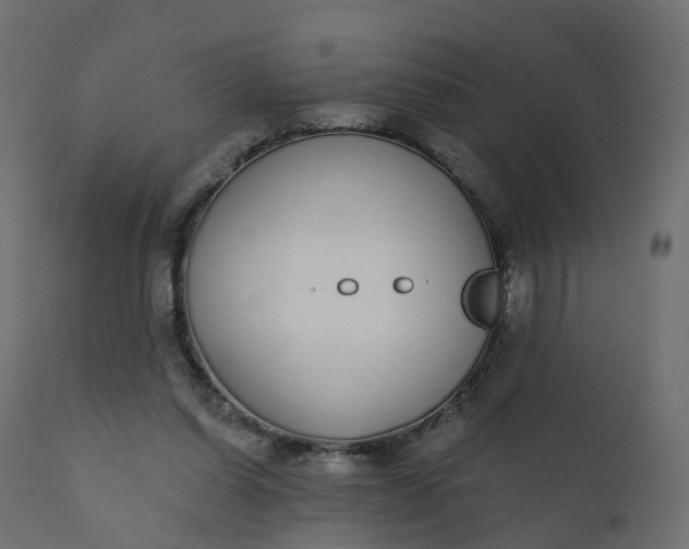 X0000110720254200906261502