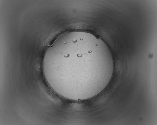 X0000110720255200906261502