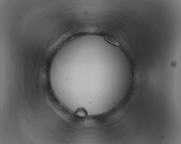 X0000110720256200906261502