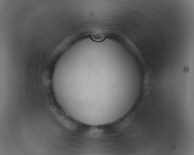 X0000110720257200906261502