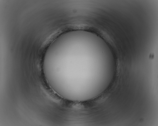 X0000110720258200906261502