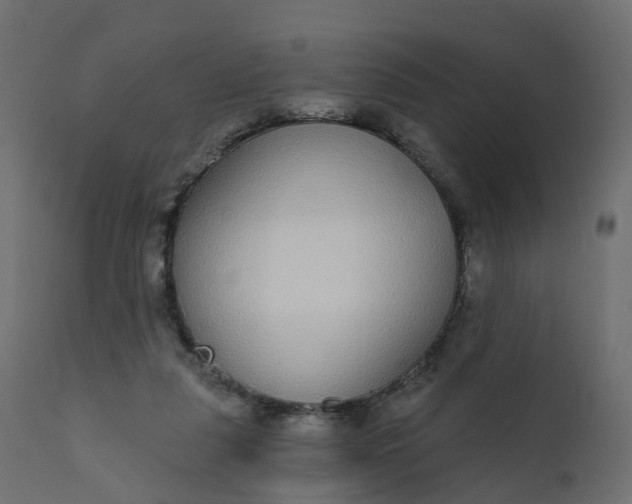 X0000110720259200906261502