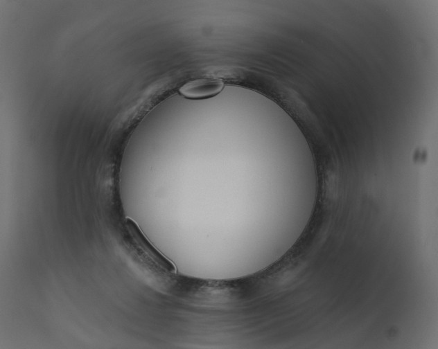 X0000110720260200906261502