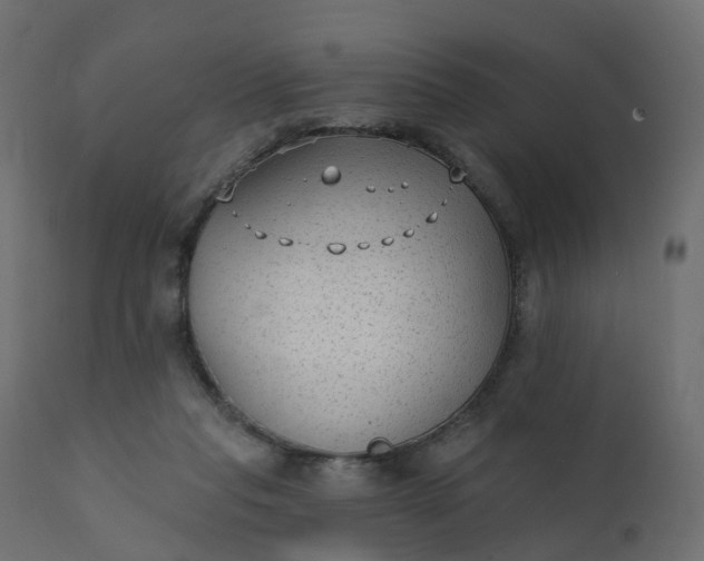 X0000110720261200906261502