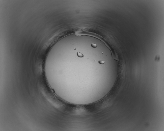 X0000110720262200906261502