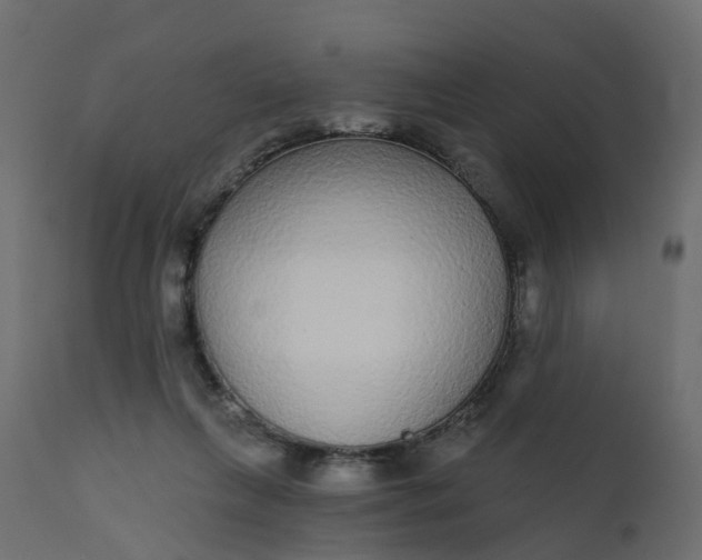 X0000110720263200906261502