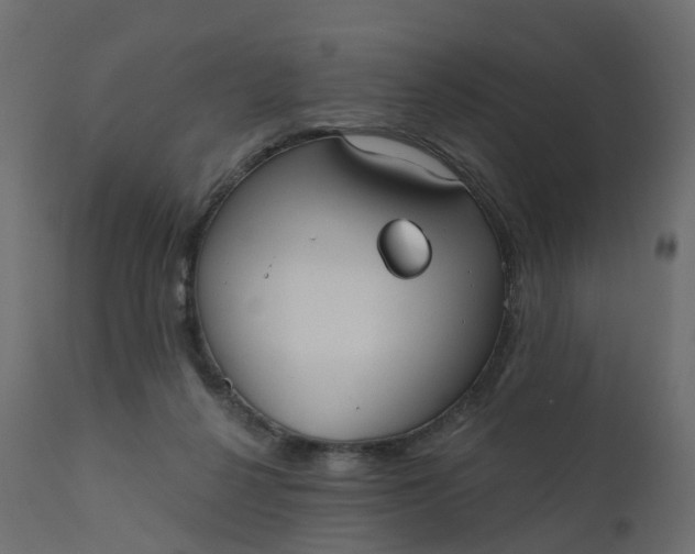 X0000110720264200906261502