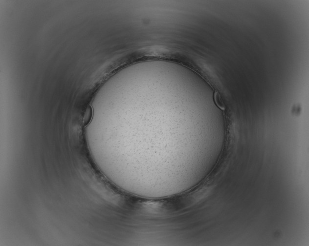 X0000110720265200906261502