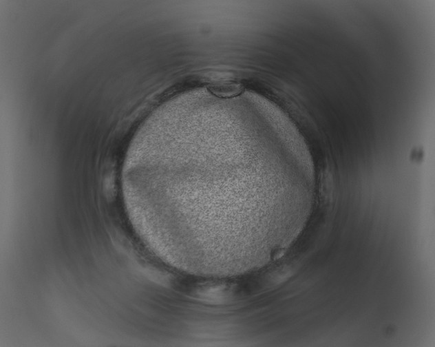 X0000110720267200906261502