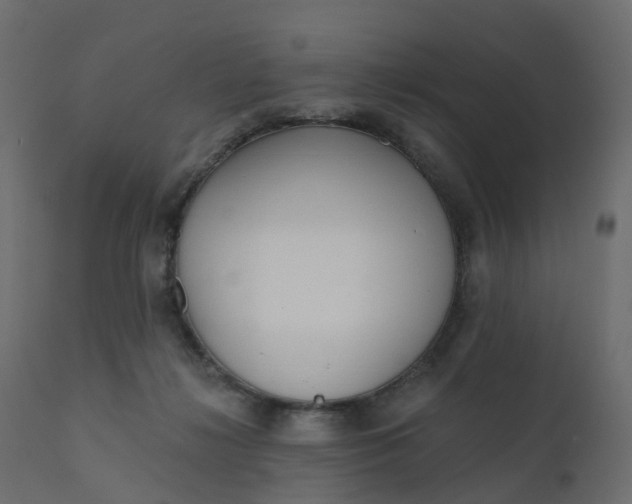 X0000110720268200906261502