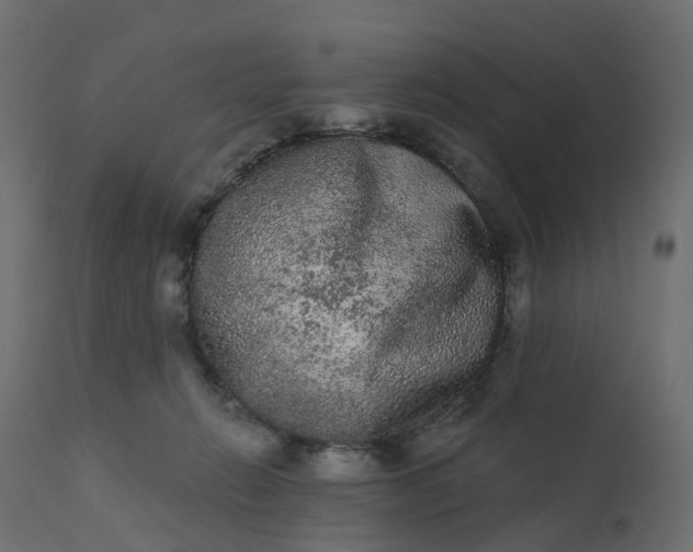 X0000110720270200906261503