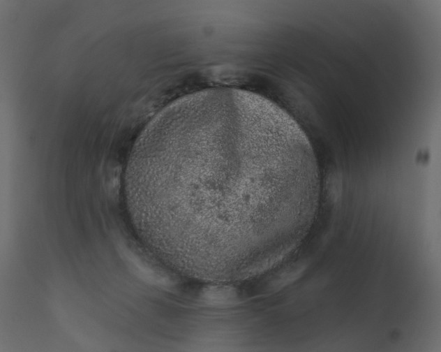 X0000110720271200906261503