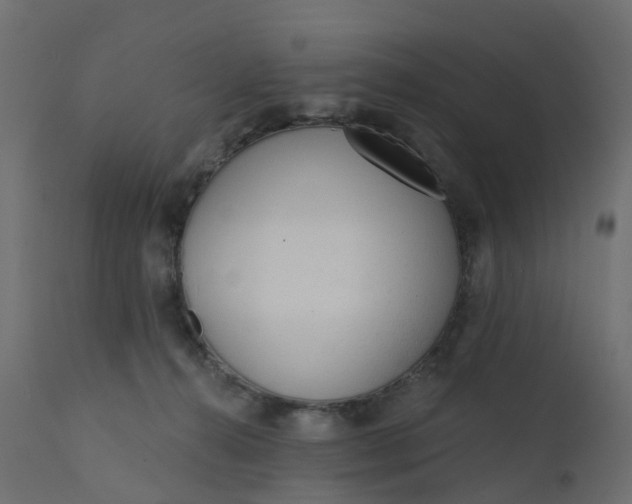 X0000110720272200906261503