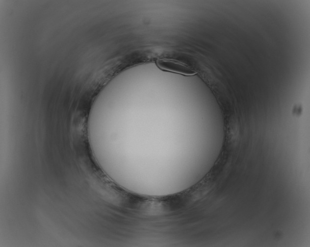 X0000110720276200906261503