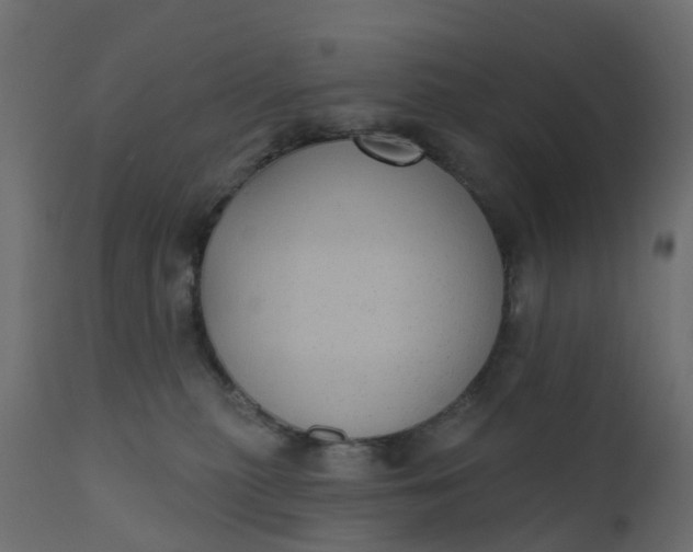 X0000110720279200906261503