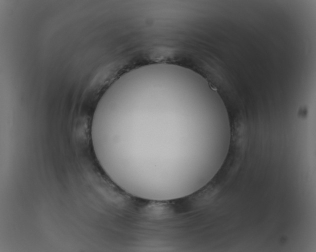 X0000110720280200906261503