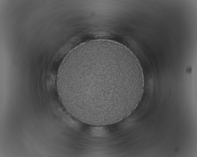 X0000110720281200906261503