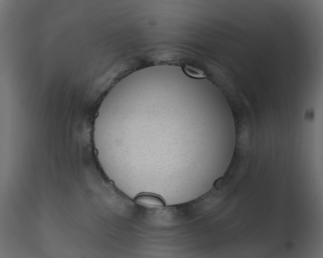 X0000110720282200906261503