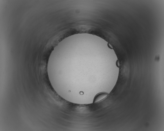 X0000110720283200906261503