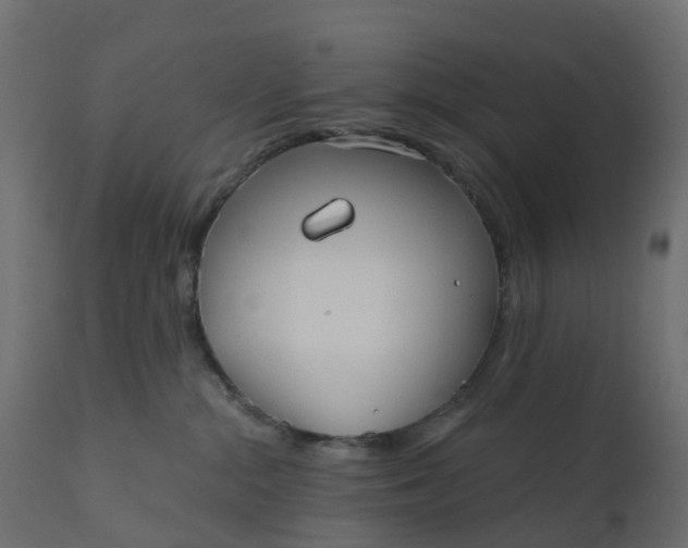 X0000110720284200906261503