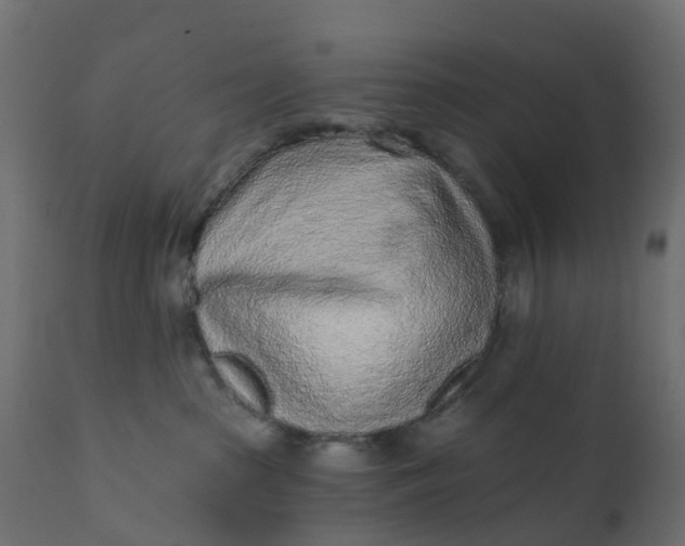 X0000110720285200906261503