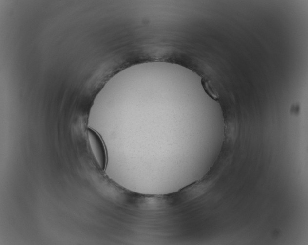 X0000110720286200906261503