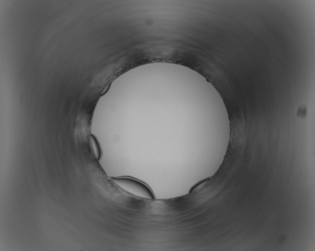 X0000110720287200906261503