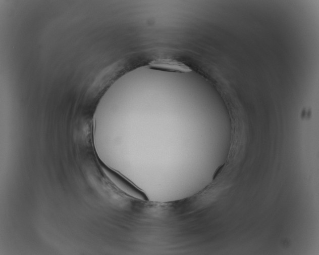 X0000110720288200906261503