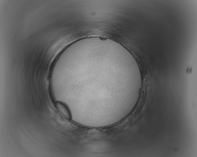 X0000110720290200906261502