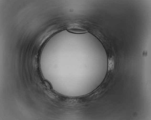 X0000110720291200906261502