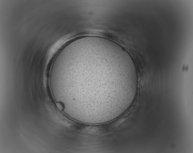 X0000110720294200906261502