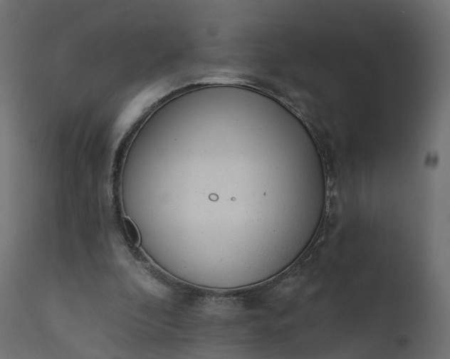 X0000110720296200906261502