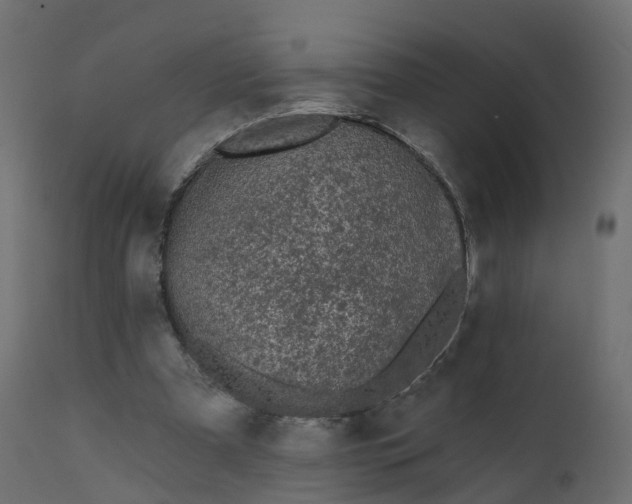 X0000110720297200906261502