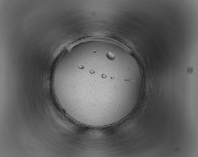 X0000110720299200906261502