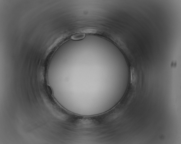 X0000110720300200906261502