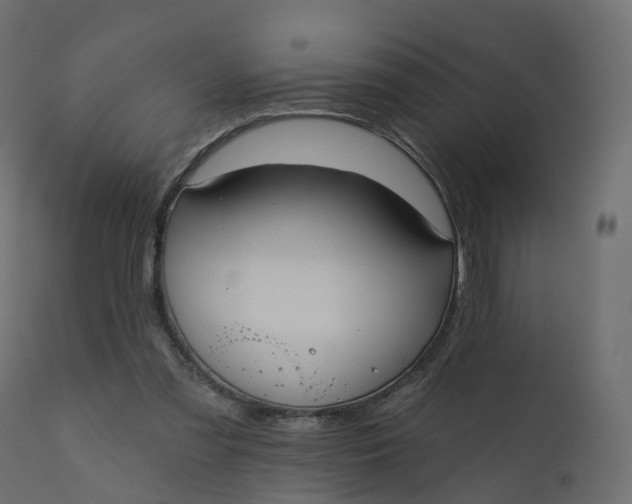 X0000110720301200906261502