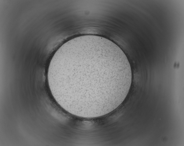 X0000110720302200906261502