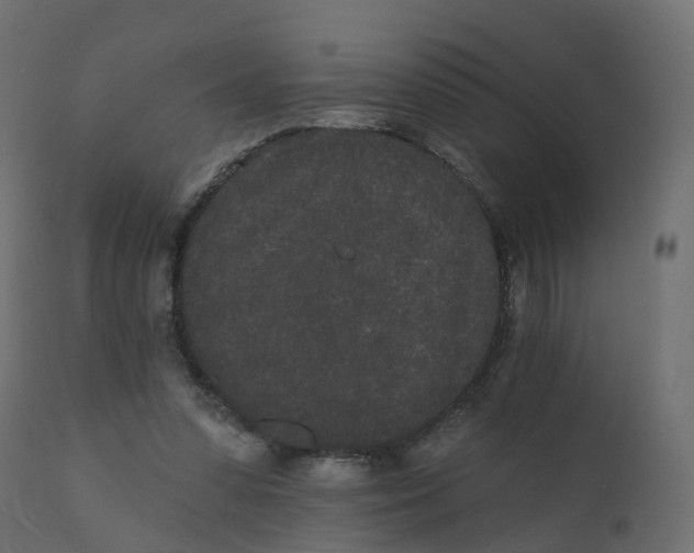 X0000110720303200906261502