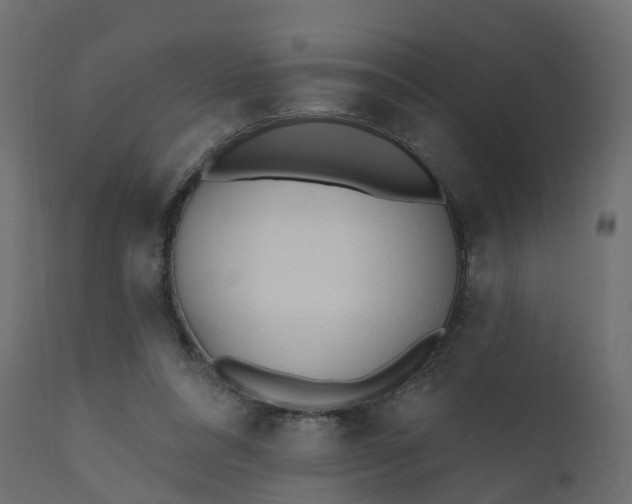 X0000110720304200906261502