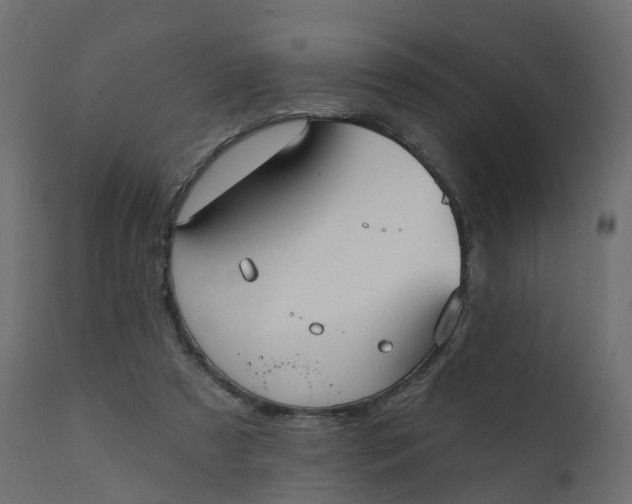 X0000110720305200906261502