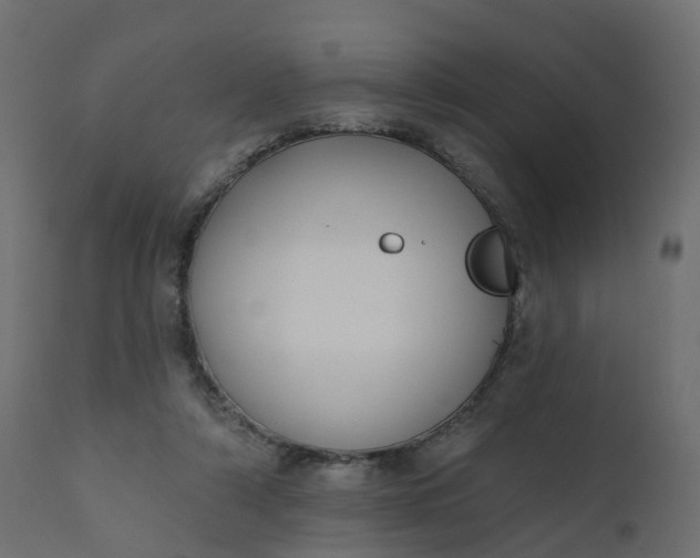 X0000110720306200906261502