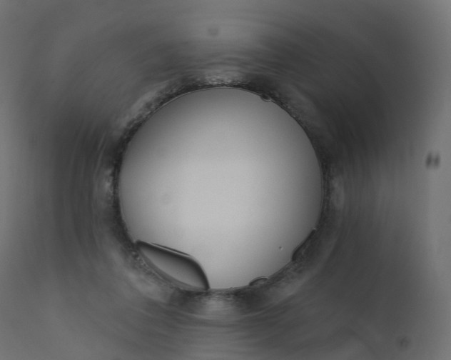 X0000110720308200906261502