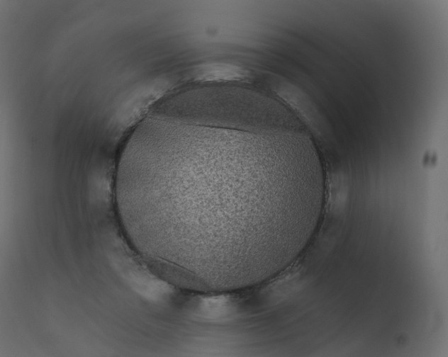 X0000110720309200906261502