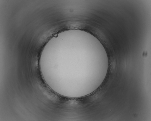 X0000110720310200906261502