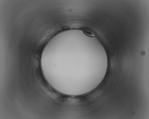 X0000110720311200906261502