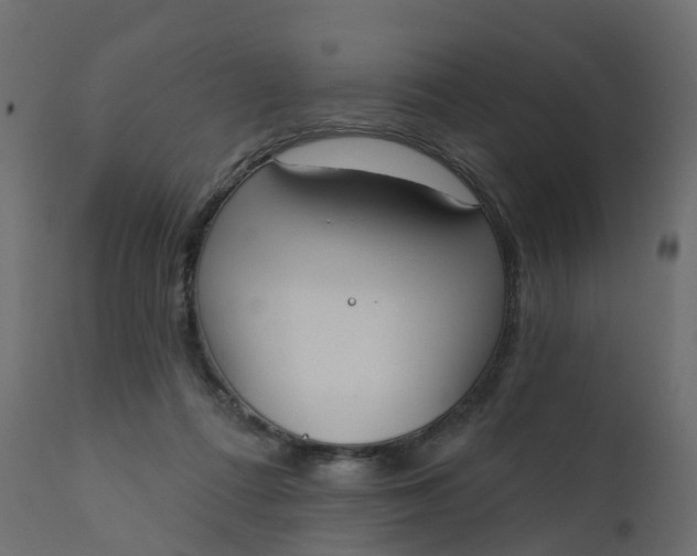 X0000110720312200906261502