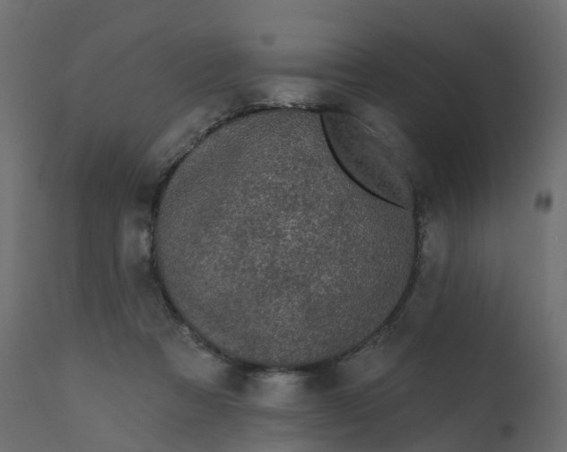 X0000110720313200906261502