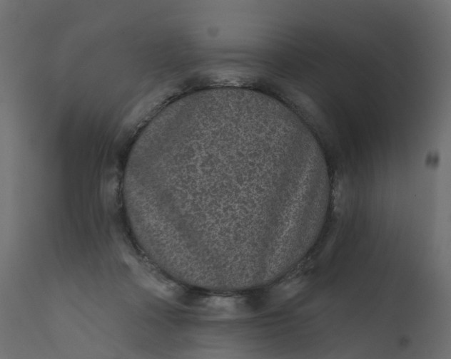 X0000110720314200906261502