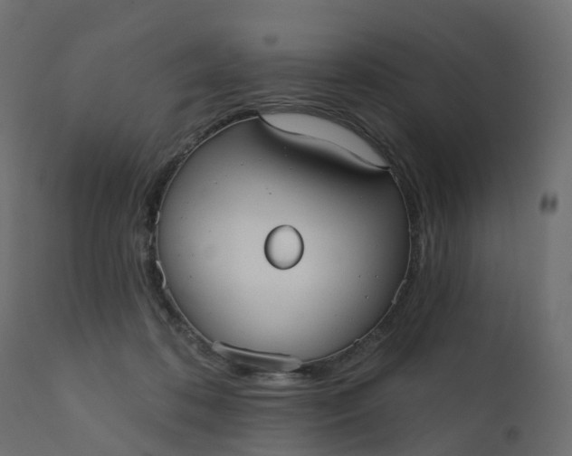 X0000110720316200906261502