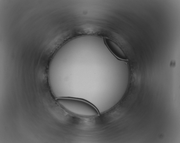 X0000110720317200906261502